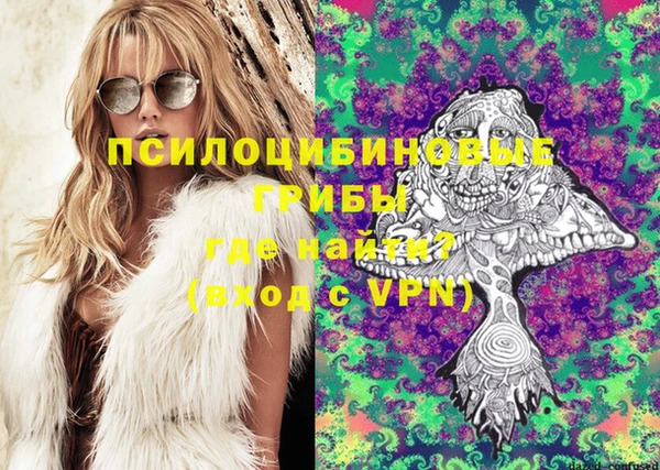 прущая мука Гусиноозёрск