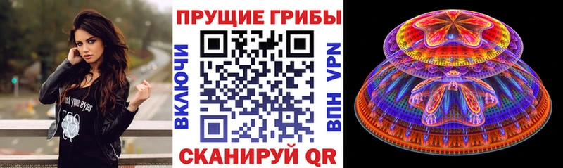 Псилоцибиновые грибы ЛСД  Купить где  Катав-Ивановск 